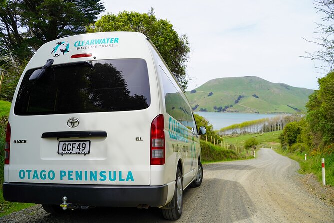 Clearwater Private Penguin & Wildlife Tour from Port Otago (5hrs) - What the five-hour length means for your day