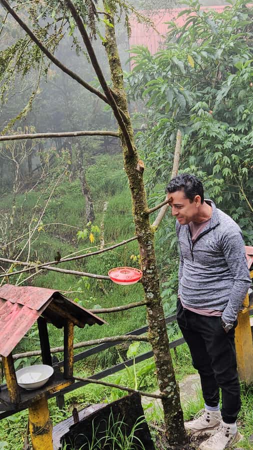 Cocora: trek to the hummingbirds sanctuary - Key points to know before you go