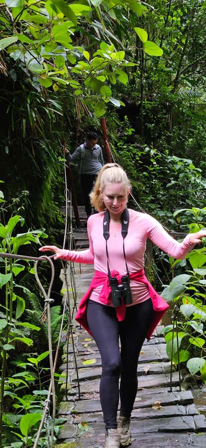 Cocora: trek to the hummingbirds sanctuary - From Salento to the open fields of Cocora
