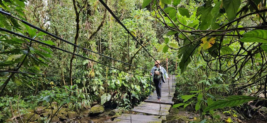 Cocora: trek to the hummingbirds sanctuary - Six bridges above the Quindío River