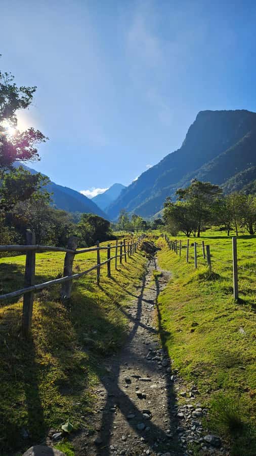 Cocora: trek to the hummingbirds sanctuary - The return walk and picnic lunch
