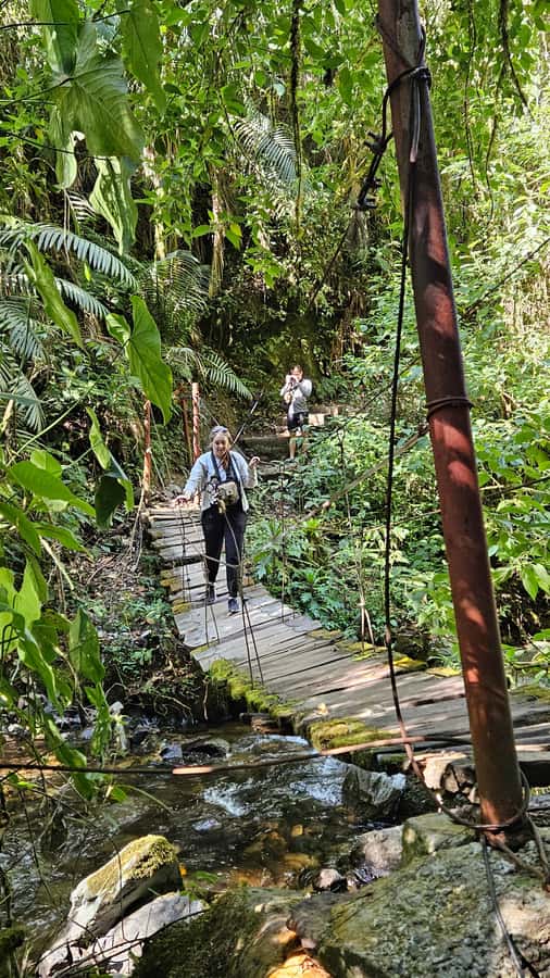 Cocora: trek to the hummingbirds sanctuary - Who will enjoy this Cocora hike most