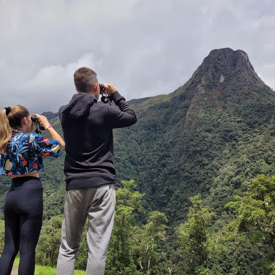 Cocora Valley: Route of the Hummingbirds + breakfast & lunch - The seven-kilometer river route and six bridges