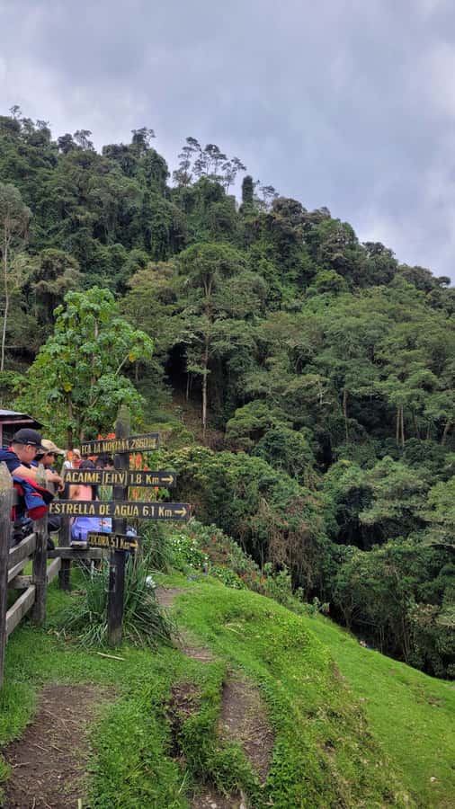 Cocora Valley: Route of the Hummingbirds + breakfast & lunch - The hummingbird house at Acaime