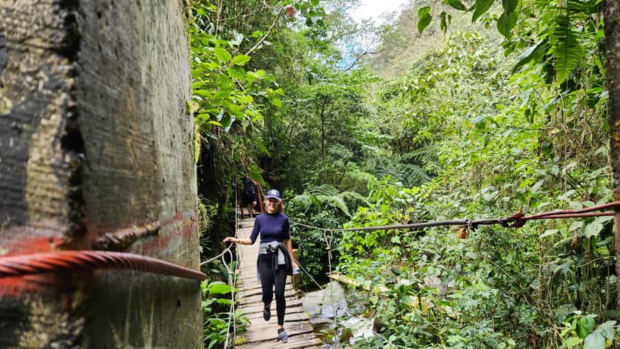 Cocora Valley: Route of the Hummingbirds + breakfast & lunch - What the guides add to the day