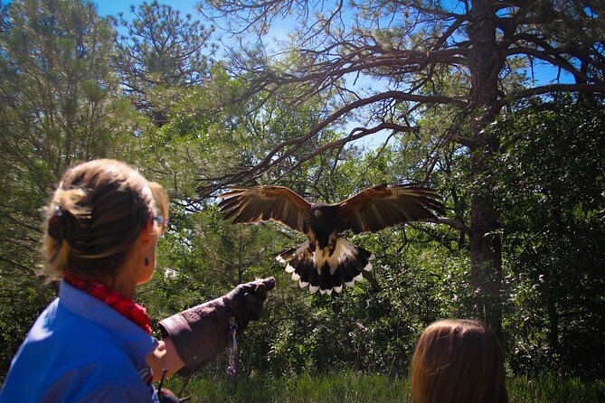 Colorado Springs Hands-On Falconry Class and Demonstration - The opening lesson: four kinds of birds, four different hunters