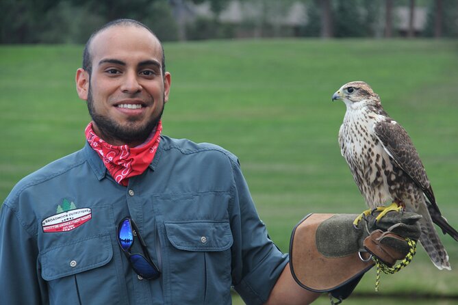 Colorado Springs Hands-On Falconry Class and Demonstration - Meeting the birds before the flight