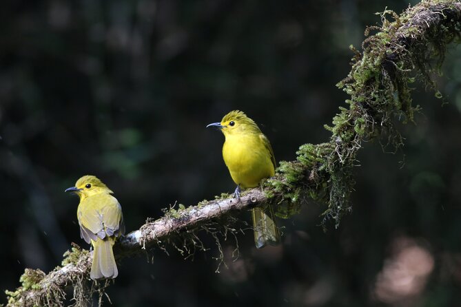 Dandeli Bird Photography Tour - Key points before you book