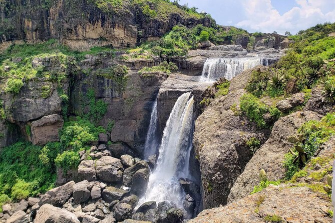 Day Trip From Addis Ababa See Historical Monastery,Stunning Nature,Animals,Birds - Gelada monkeys and highland wildlife