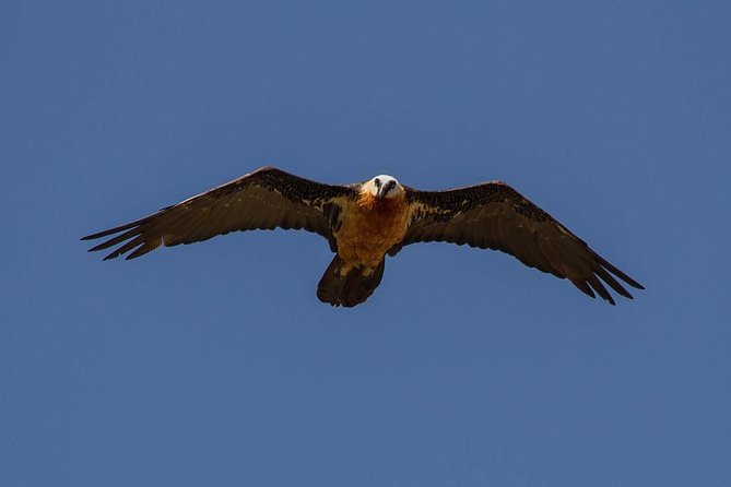 Day Trip From Addis Ababa See Historical Monastery,Stunning Nature,Animals,Birds - Is $90 a fair price?