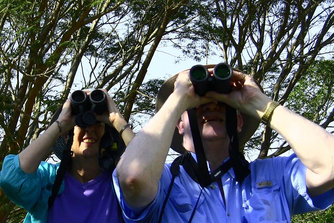 Desembocada and Ameca River Bird Paradise (Wetland and Tropical birds in PV) - Food, drinks, and the missing lunch