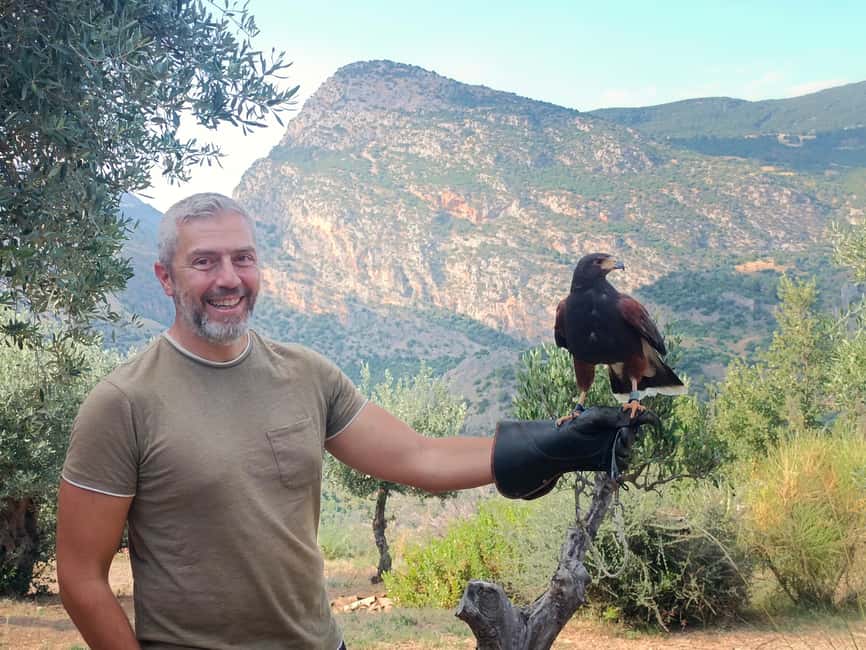 Discover the fantastic world of birds of prey in the Pollino National Park. - Key points to know before you go