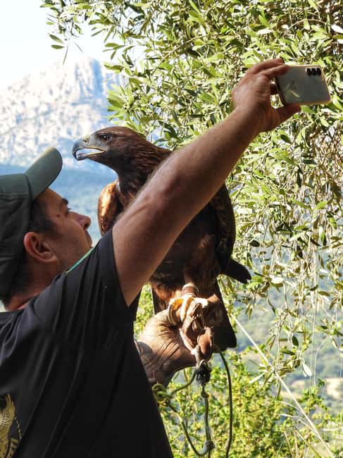Discover the fantastic world of birds of prey in the Pollino National Park. - Why this Pollino bird-of-prey visit feels different