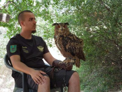 Discover the fantastic world of birds of prey in the Pollino National Park.