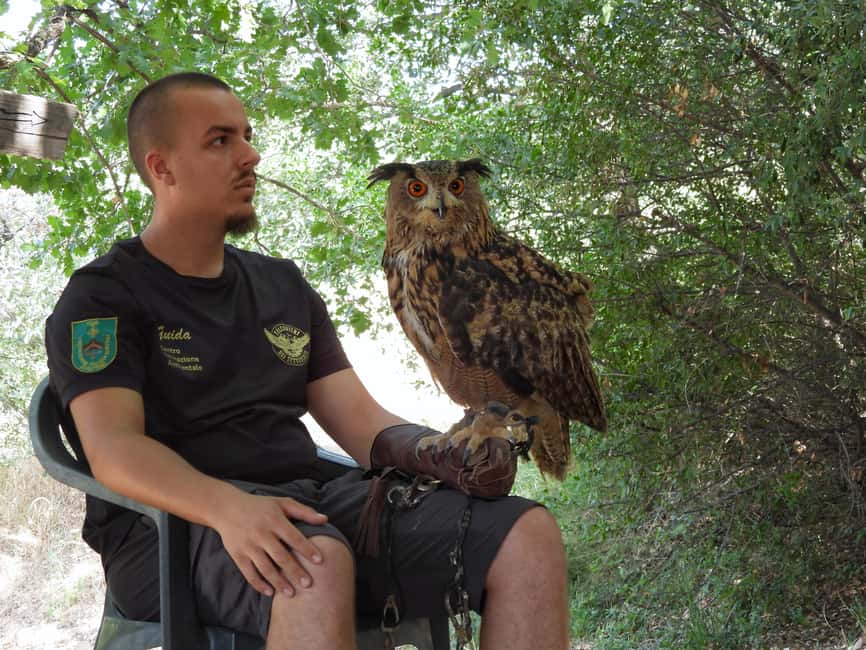 Discover the fantastic world of birds of prey in the Pollino National Park. - What happens during the three-hour experience