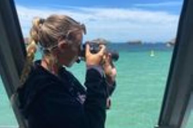 Dolphin, Sea Lion and Penguin Island Cruise - Who will enjoy this outing most?