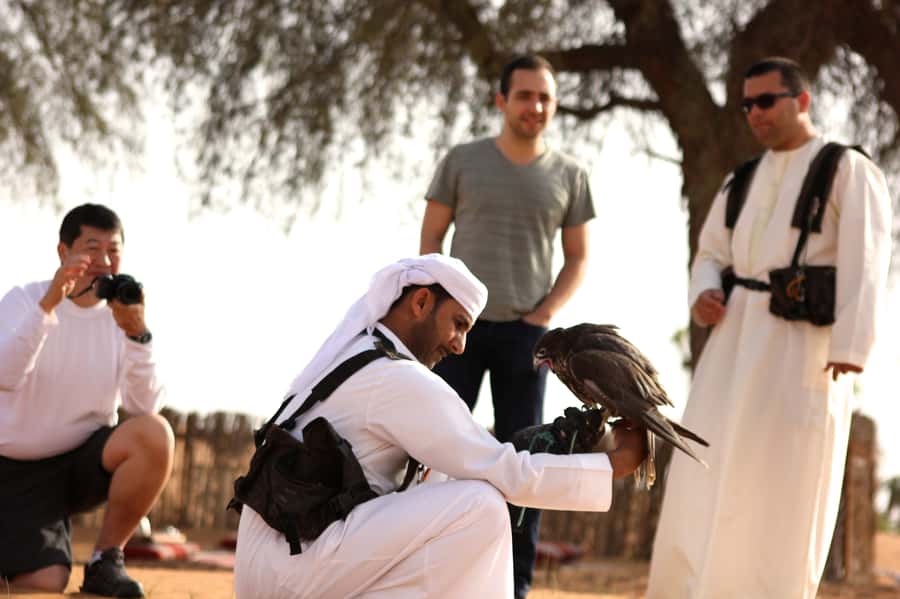 Dubai Falconry Safari - Why Falconry Matters in Dubai