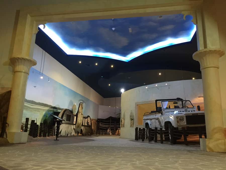 Dubai Falconry Safari - The 90-Minute Falconry Experience