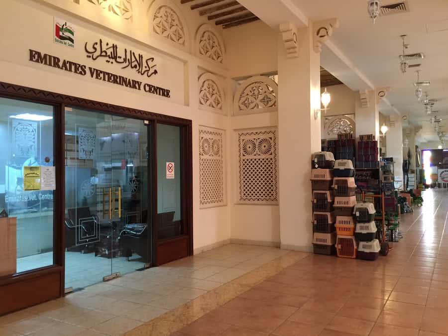 Dubai Falconry Safari - Dubai Falcon Souq and the Falconry Museum
