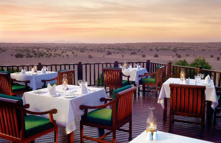 Dubai Falconry Safari - Who Will Enjoy This Most