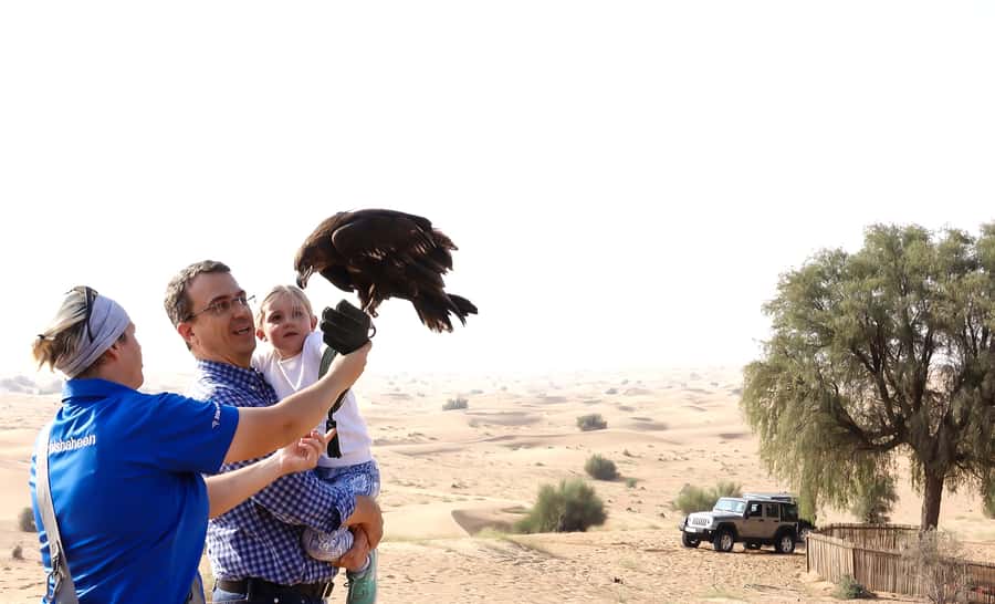 Dubai: Private Falconry Safari - Key points to know before booking