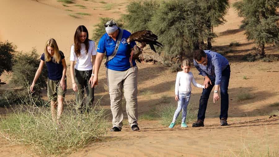 Dubai: Private Falconry Safari - Arabic coffee, dates, and the Emirati Falcon Hunting Camp