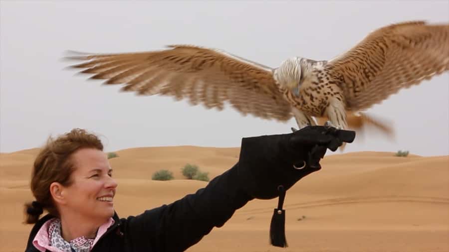 Dubai: Private Falconry Safari - Timing, heat, and what to bring
