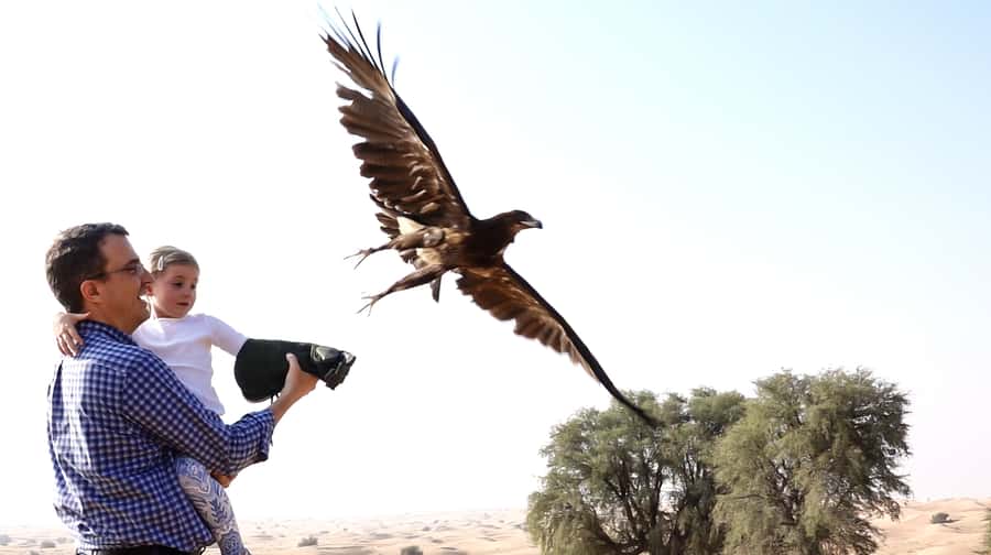 Dubai: Private Falconry Safari - The 4WD ride into the conservation reserve