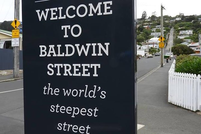Dunedin City Highlights, Otago Peninsula Scenery & a Guided Penguin Reserve Tour - Quick points before you book