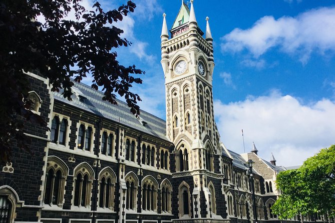 Dunedin City Highlights, Otago Peninsula Scenery & a Guided Penguin Reserve Tour - A smart way to use one Dunedin port day