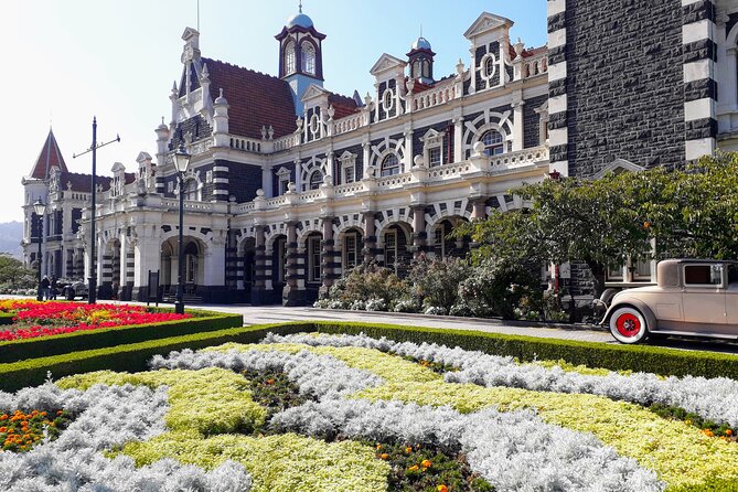 Dunedin City Highlights, Otago Peninsula Scenery & a Guided Penguin Reserve Tour - The penguin reserve is about conservation as much as sightings