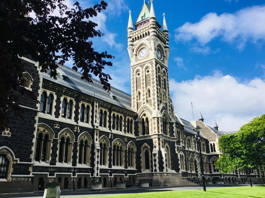Dunedin: Otago Peninsula with Guided Penguin Reserve Tour - Is $191 a fair price?