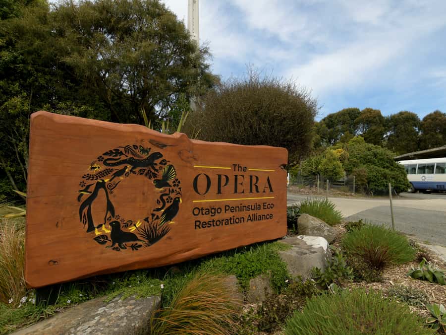 Dunedin: Wildlife and Penguin Tour - The theatre introduction sets the tone