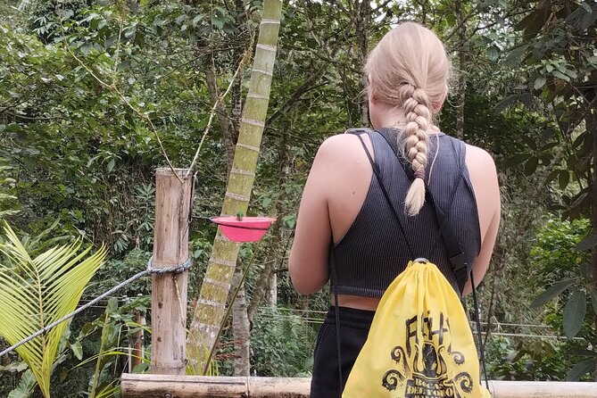 Easy Birdwatching in Cali Colombia (4 Hours) - The hummingbird sanctuary and its natural rhythm