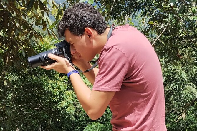 Easy Birdwatching in Cali Colombia (4 Hours) - A short visit with baby goats