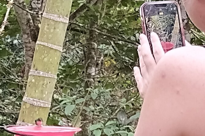 Easy Birdwatching in Cali Colombia (4 Hours) - The practical trade-off of a mountain road