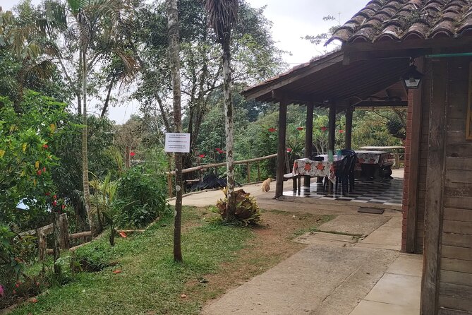 Easy Birdwatching in Cali Colombia (4 Hours) - Who will enjoy this four-hour outing