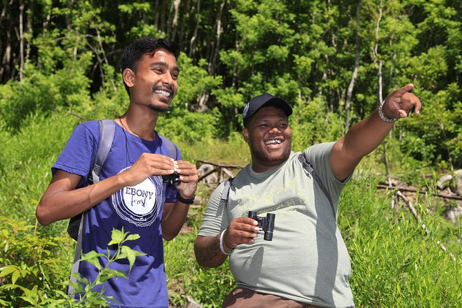 Ebony Forest Reserve Chamarel: Endemic Birdwatching Guided Tour - The 9:00 am start and small-group setting