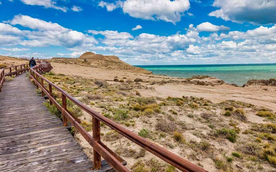 El Calafate: Monte León 4x4 Wolves and Penguins Excursion - Who should book this excursion