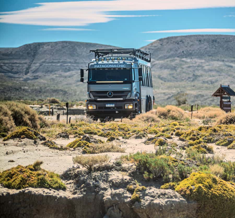 El Calafate: Monte León 4x4 Wolves and Penguins Excursion - The 1.5-hour penguin trail