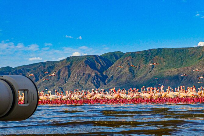 Escape to Lake Bogoria, Flamingo's new home for an overnight safari - Key things to know before you book