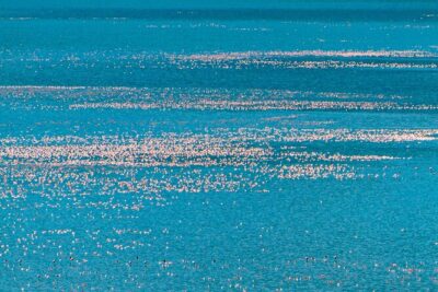Escape to Lake Bogoria, Flamingo’s new home for an overnight safari