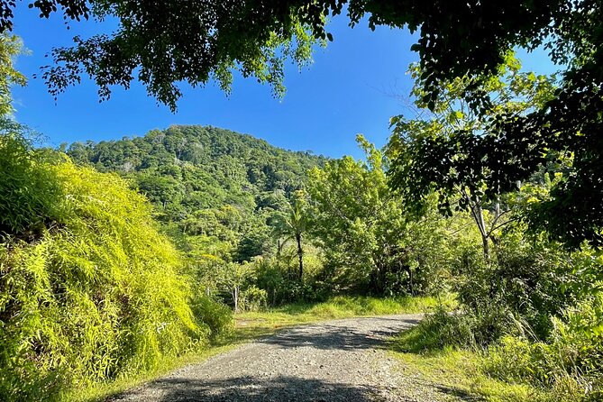 Esquipulas Rainforest - Private Birding - Fully Customizable Tour - The 5:00 a.m. departure from Quepos