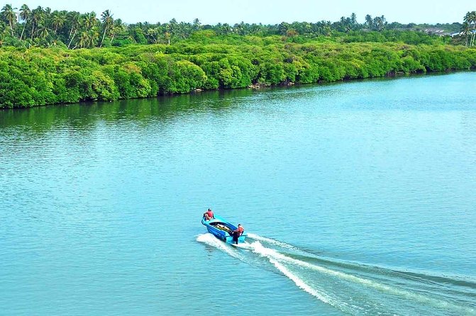 Exclusive: Muthurajawela Bird Watching Tour with Transfers - Why the timing matters