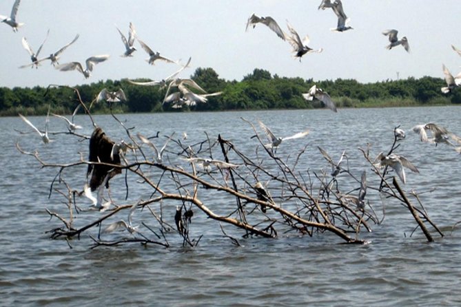 Exclusive: Muthurajawela Bird Watching Tour with Transfers - The boat seats and what to bring