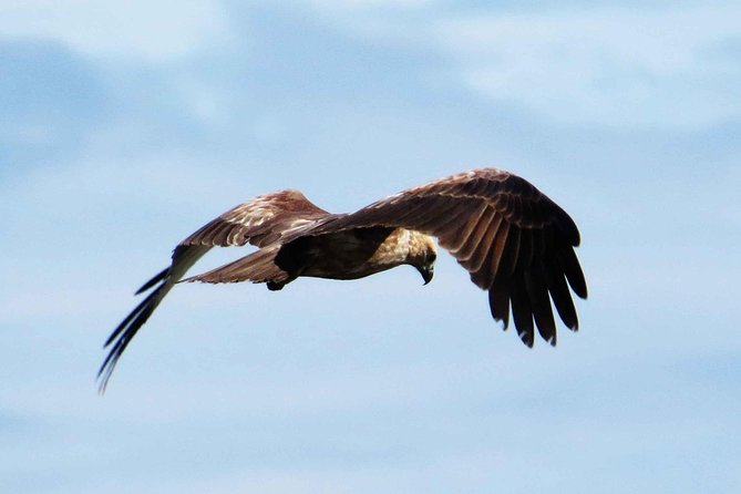 Exclusive: Muthurajawela Bird Watching Tour with Transfers - Entering Muthurajawela by boat
