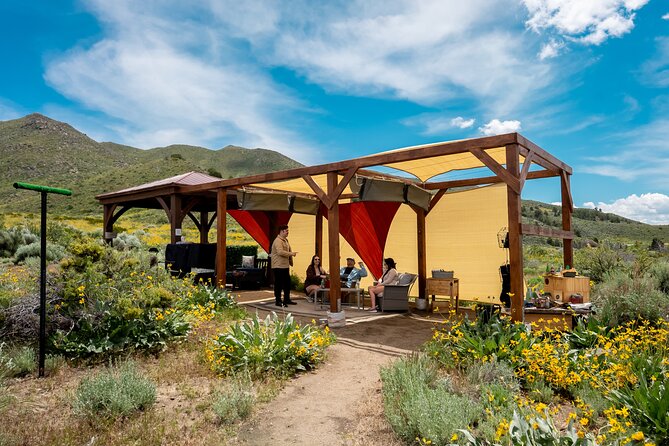 Experience Raptors and Falconry in Reno - What happens during the one-hour session