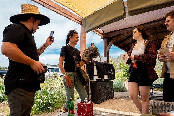 Experience Raptors and Falconry in Reno - Why the teaching matters