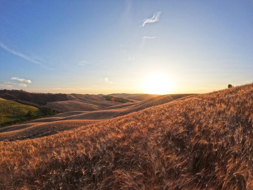 Experience with birds of prey in Tuscany - Key points to know before booking