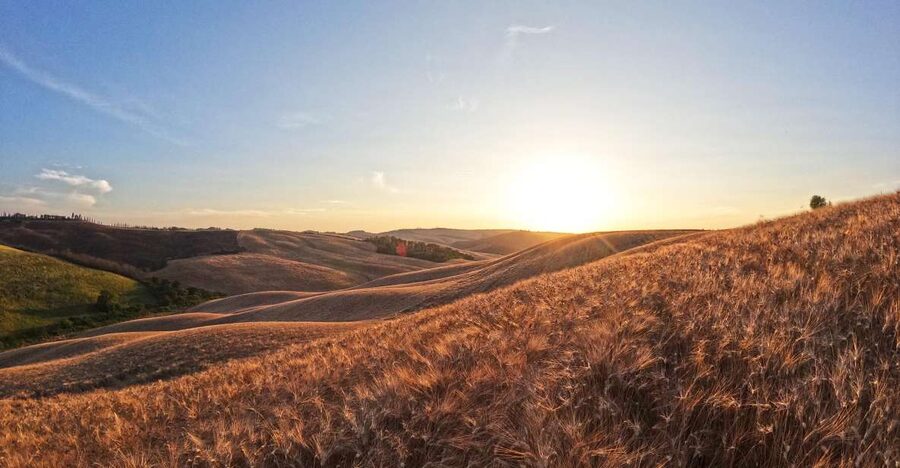 Experience with birds of prey in Tuscany - Meeting birds of prey in the Crete Senesi